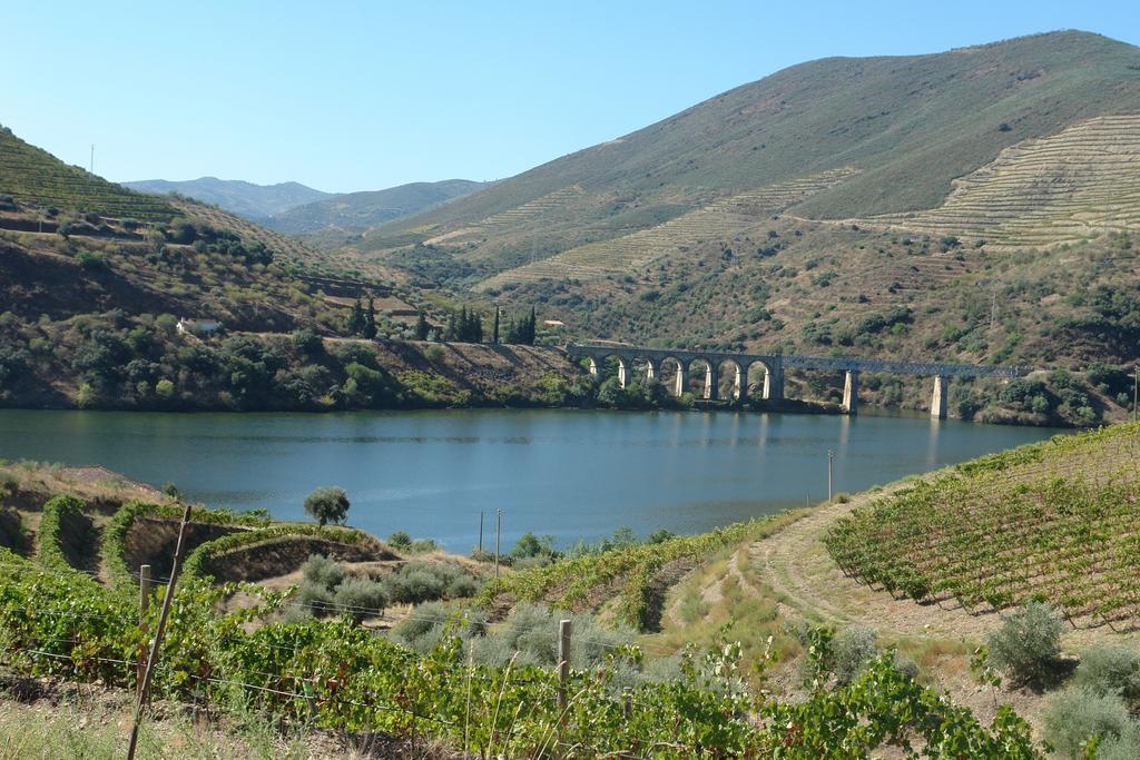 Pinhal do Douro Quinta Vale De Carvalho旅馆 外观 照片